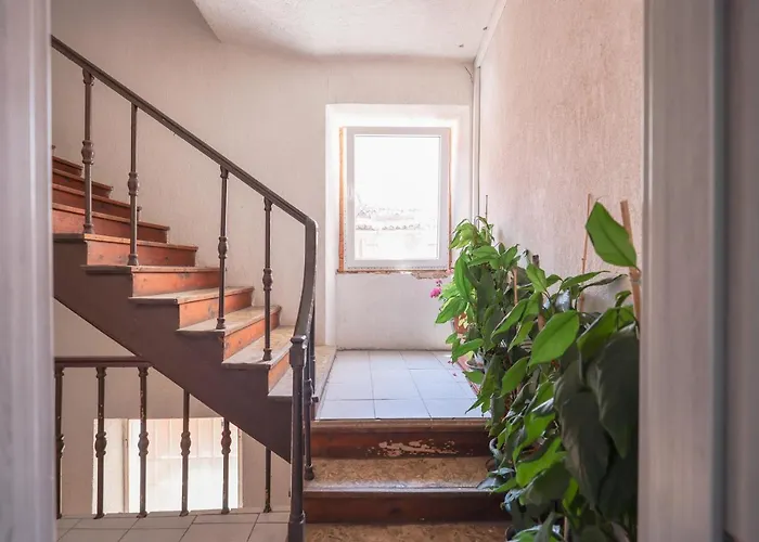 Apartment Cozy Cvita Zadar